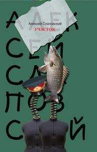 Алексей Слаповский - Заколдованный участок