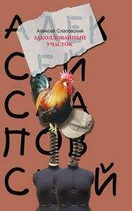 Алексей Слаповский - Н. Задеев. Не война, а мир, настоящая хроника