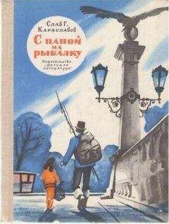 Гана Боржковцова - Тройка неразлучных, или Мы, трое чудаков