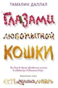 Евгений Сатановский - Книга Израиля. Путевые заметки о стране святых, десантников и террористов