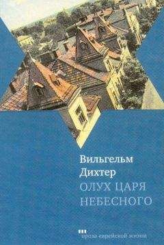 Яков Голосовкер - Сожженный роман