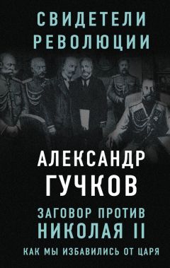 Андрей Булычев - История одной политической кампании XVII в.