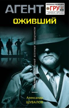 Александр Шувалов - Шут специального назначения