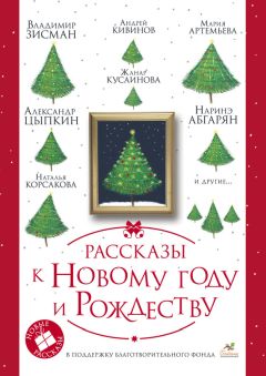 Александра Хоменко - Новогодний чемодан. Сборник рассказов