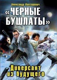 Александр Самохвалов - Боевой разворот. И-16 для «попаданца»