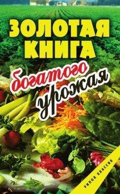 Анастасия Красичкова - Золотая книга приусадебного участка