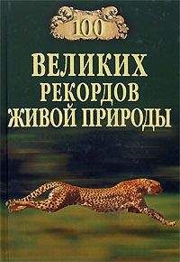 Николай Плавильщиков - Гребень буйвола