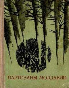 Андрей Гречко - Через Карпаты