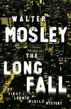 Walter Mosley - Fearless Jones