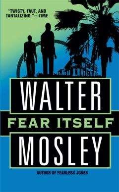 Walter Mosley - Fearless Jones