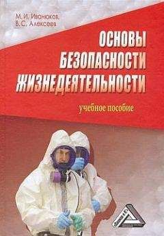 В. Самуйлов - Устройство вооруженных сил Республики