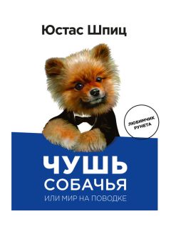  МариКа - История, которой не было