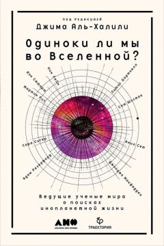 Фредерик Лейн - Золотой век Венецианской республики. Завоеватели, торговцы и первые банкиры Европы