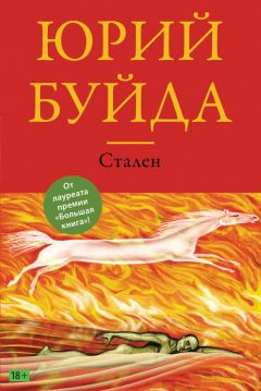 Юрий Теплов - «Прииде окоянный сотона», или ОКО за ОКО. Роман