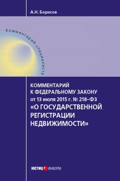Александр Борисов - Комментарий к Федеральному закону от 4 мая 2011 г. №99-ФЗ «О лицензировании отдельных видов деятельности» (постатейный)