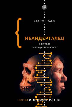 Томаш Седлачек - Экономика добра и зла. В поисках смысла экономики от Гильгамеша до Уолл-стрит