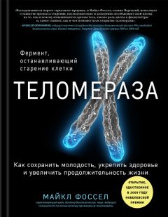 Майкл Фоссел - Теломераза. Как сохранить молодость, укрепить здоровье и увеличить продолжительность жизни