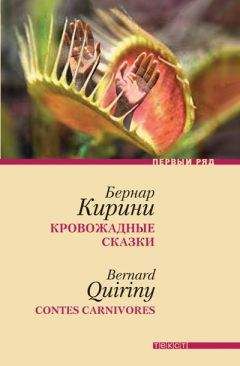 Бернар Вербер - Зеркало Кассандры