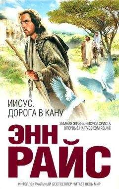 Ирвинг Стоун - Бессмертная жена, или Джесси и Джон Фремонт