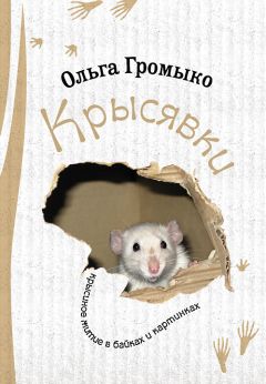 Петр Вяземский - Старая записная книжка. Часть 3