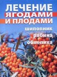 Иван Дубровин - Целительная рябина