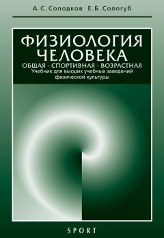 С. Евсеев - Технологии физкультурно-спортивной деятельности в адаптивной физической культуре