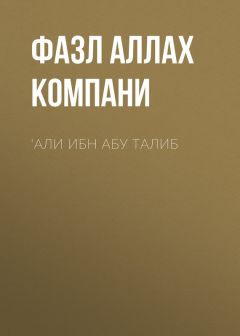 Игорь Пыхалов - Долг русского историка. Жизненный путь и труды В. С. Брачева