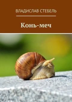 Владислав Стебель - Конь-меч