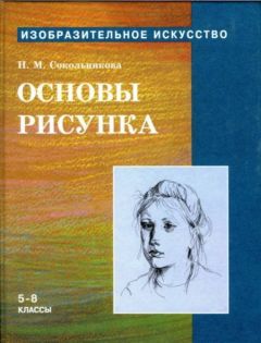 Наталья Сокольникова - Основы рисунка для учащихся 5-8 классов