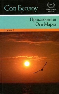 Збигнев Ненацкий - Новые приключения самоходика