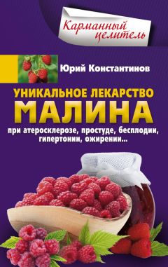 Юрий Константинов - Природное лекарство жимолость. При гипертонии, псориазе, стенокардии, бессоннице, язве, гастрите