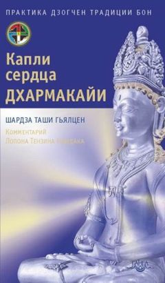 Марсия Шмидт - Сущность Дзогчен. Как превратить заблуждение в мудрость