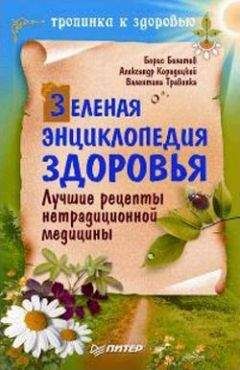 Вадим Мелик-Нубаров - Очищение и оздоровление организма. Энциклопедия народной медицины