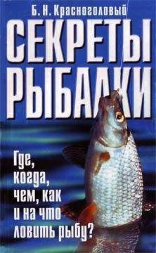 Андрей Яншевский - Энциклопедия современной рыбалки. Ловля рыбы поплавочной удочкой