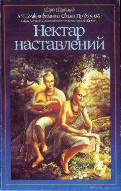 Евгений Небольсин - Русская философия. Анализ истории. Том 1