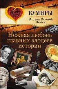 Андрей Синельников - Путешествие в тайну