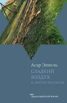 Виктор Робсман - Персидские новеллы и другие рассказы