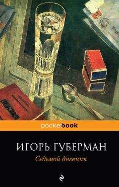 Борис Лихтциндер - Борики. Книга четвертая