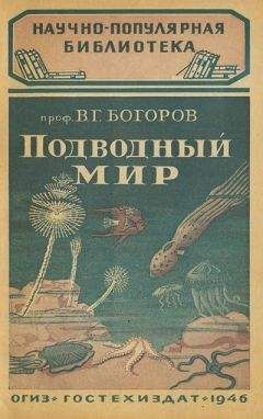 Андрей Некрасов - Морские сапоги. Рассказы