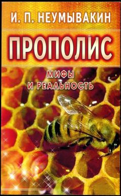 Илья Панин - Чудесное медолечение. Мед, перга, прополис, маточное молочко в домашней аптечке