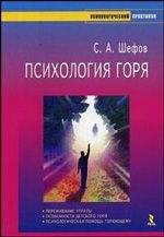 Бретт Стинбарджер - Самоучитель трейдера: Психология, техника, тактика и стратегия