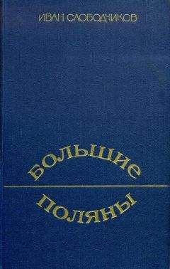 Владлен Анчишкин - Арктический роман