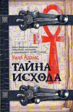 Уилл Мюррей - Последний крестоносец