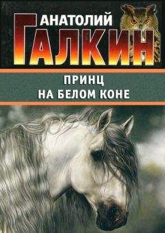 Андрей Евдокимов - Австрийская площадь или петербургские игры