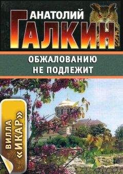 Анатолий Галкин - Обжалованию не подлежит