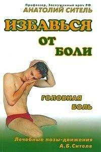 Александр Вейн - Болевые синдромы в неврологической практике