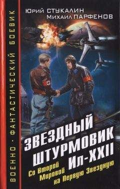 Дмитрий Политов - Небо в огне. Штурмовик из будущего