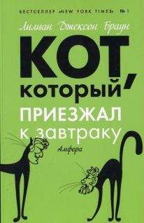 Вильям Козлов - Президент Каменного острова