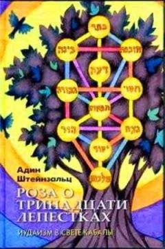 Хольгер Кальвайт - Шаманы, целители, знахари. Древнейшие учения, дарованные самой жизнью