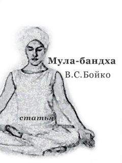 Виктор Бойко - 